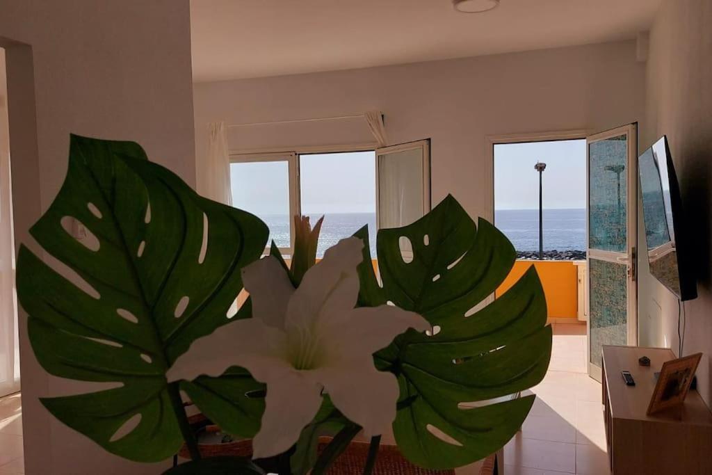 Apartament La Marea Baja Puertito de Guimar Zewnętrze zdjęcie